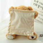 VIMEDA | Peek-A-Boo Bear™