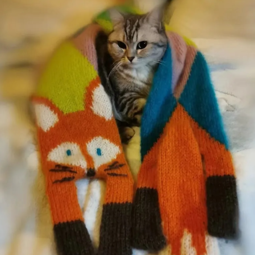 VIMEDA | Cartoon Fox Scarf™