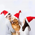 VIMEDA | Dancing Christmas Hat™
