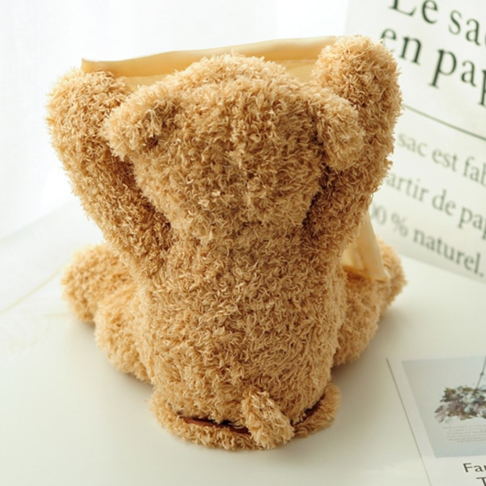 VIMEDA | Peek-A-Boo Bear™