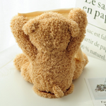 VIMEDA | Peek-A-Boo Bear™