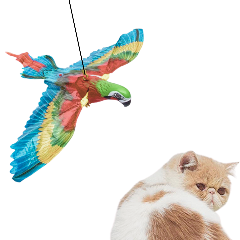 VIMEDA | Hanging Bird Toy™