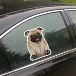 VIMEDA | Dog Car Sticker™ (2+2 GRATIS)