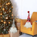 VIMEDA | Christmas Gnome™