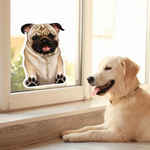 VIMEDA | Dog Car Sticker™ (2+2 GRATIS)