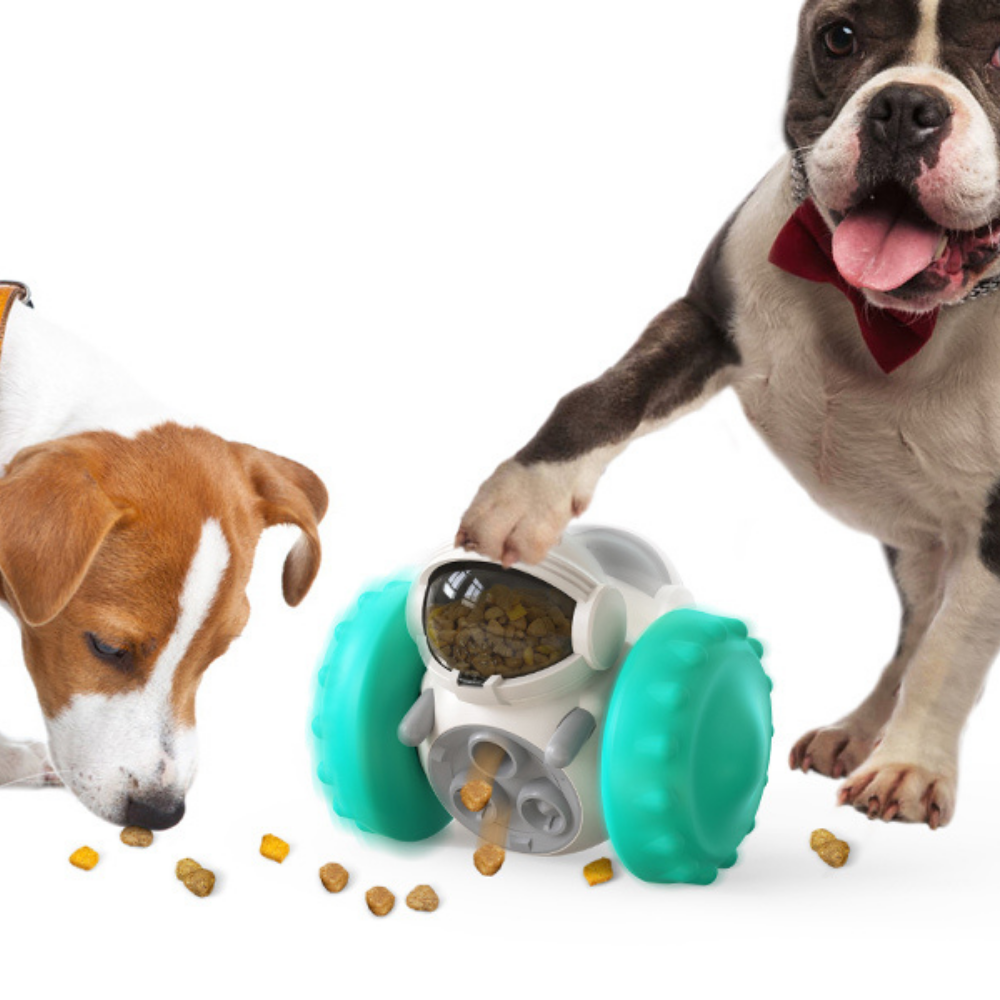 VIMEDA | Interactive Pet Feeder™