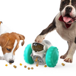 VIMEDA | Interactive Pet Feeder™