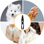 VIMEDA | Precision Pet Trimmer™