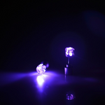 VIMEDA | LED Stud Earrings™ (1+1 GRATIS)