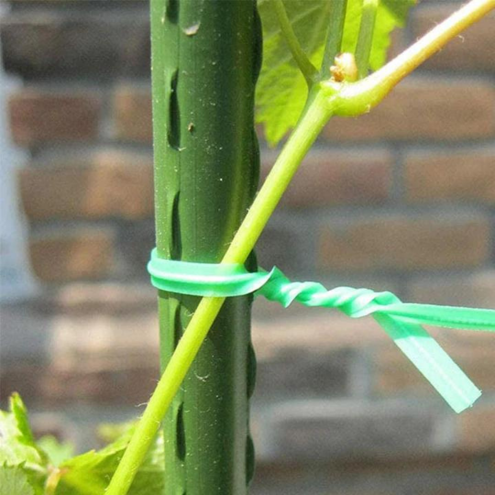 VIMEDA | Green Plant Ties™ (1+1 GRATIS)