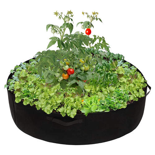 VIMEDA | Plant Bed™