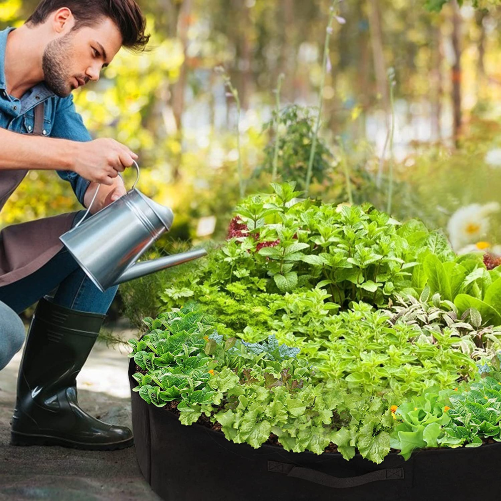 VIMEDA | Plant Bed™