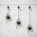 VIMEDA | Plant Hook Pulley™ (1+1 GRATIS)