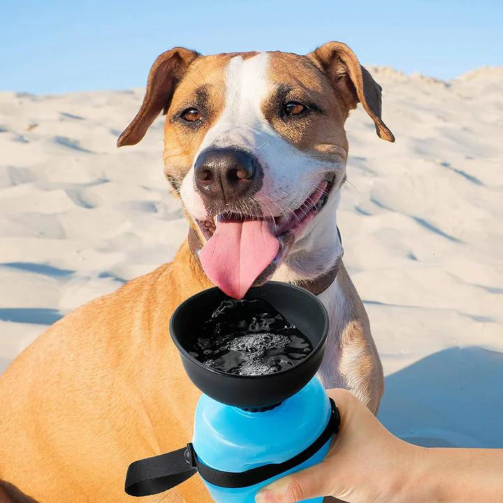 VIMEDA | Portable Dog Water Bottle™
