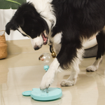 VIMEDA | Toy Cat Feeder™