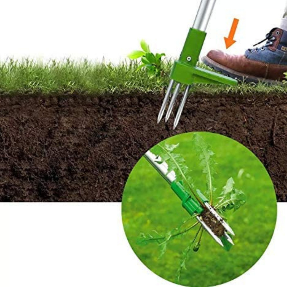 VIMEDA | Root Puller™