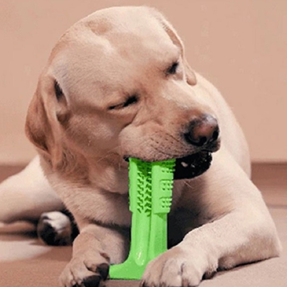 VIMEDA | Puppy Dental Brush™