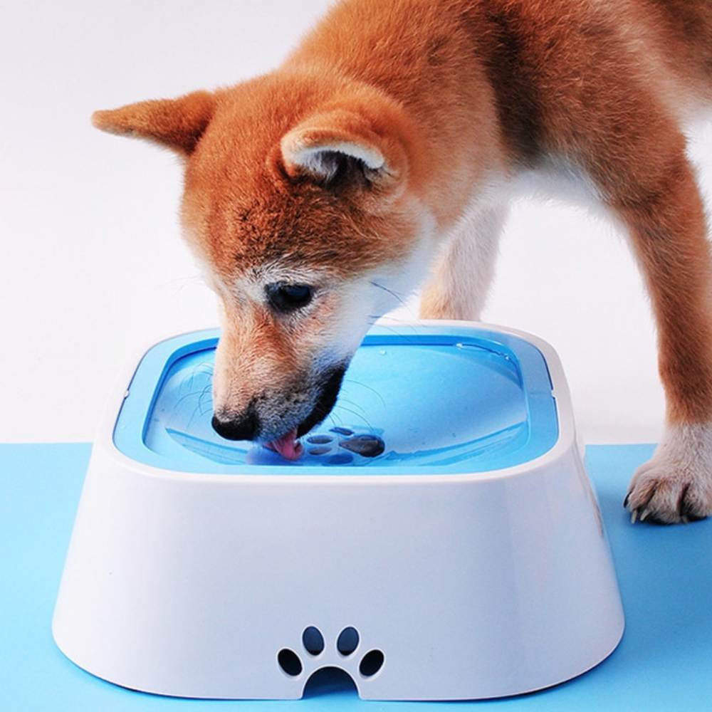 VIMEDA | Pet Water Feeder™