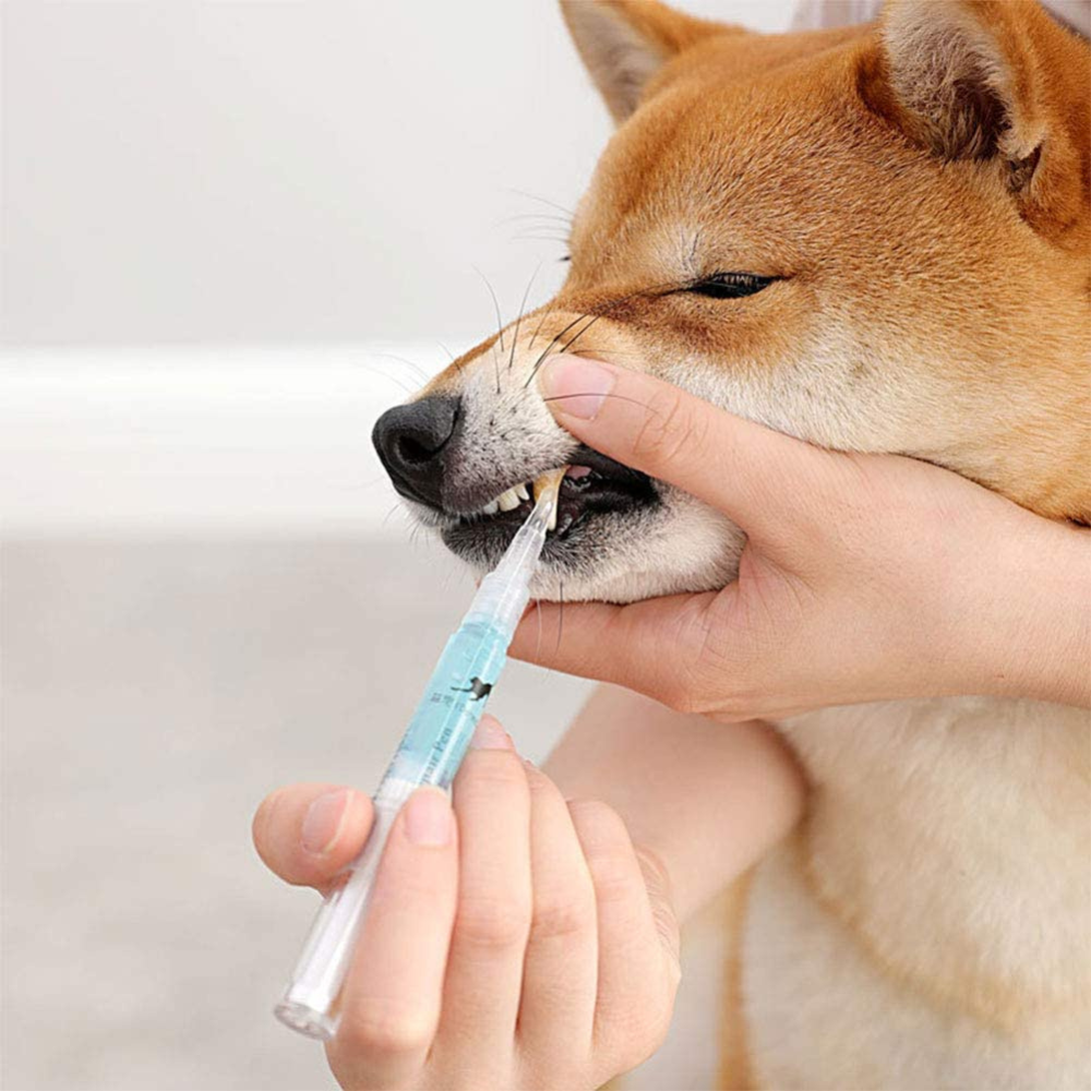 VIMEDA | Pet Dental Pen™