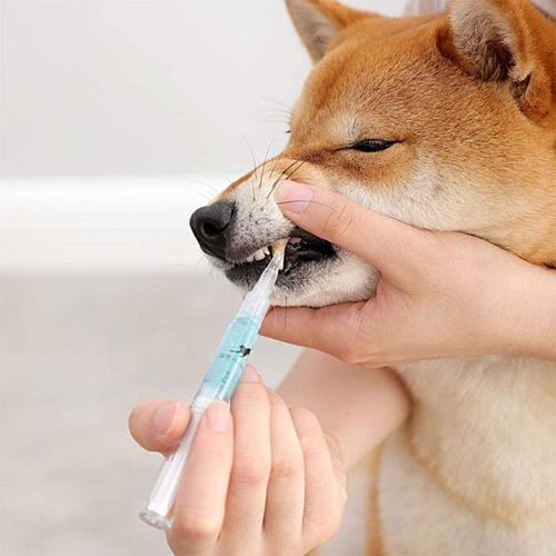 VIMEDA | Pet Dental Pen™