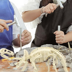 VIMEDA | Paleontological Dino Set™