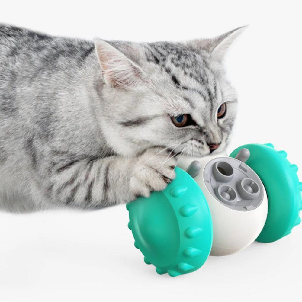 VIMEDA | Interactive Pet Feeder™