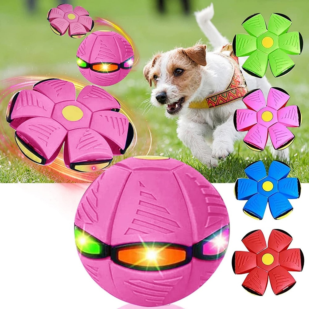 VIMEDA | Frisbee Pet Toy™