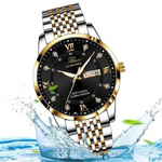 VIMEDA | Monaco Luxury Watch™