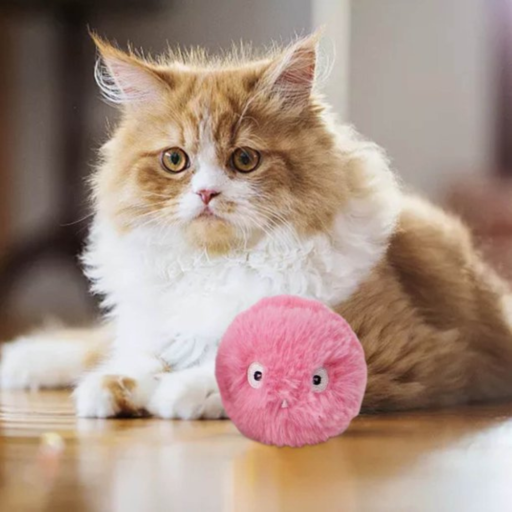 VIMEDA | Plush Cat Balls™ (1+1 GRATIS)