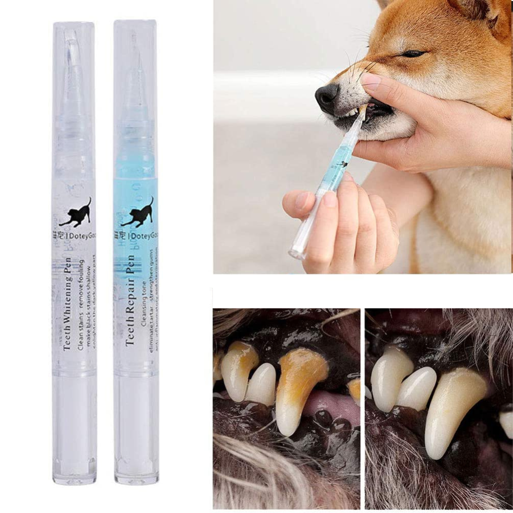 VIMEDA | Pet Dental Pen™