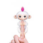 VIMEDA | Toto Monkey™
