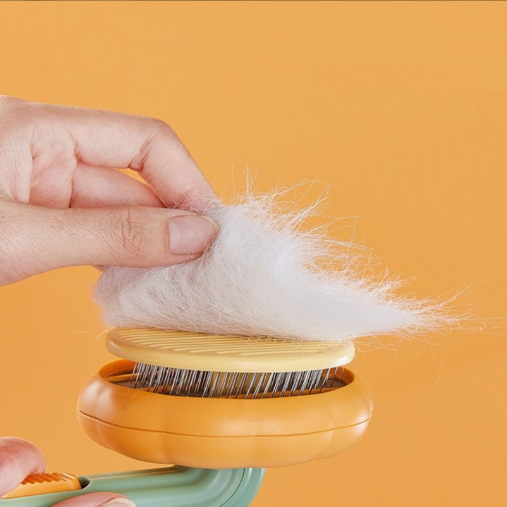 VIMEDA | Click Pet Brush™
