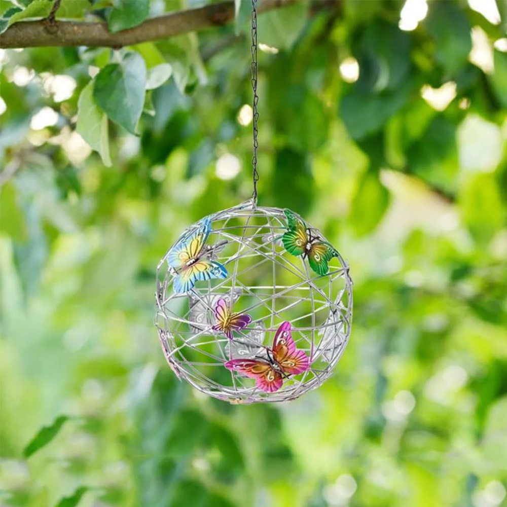 VIMEDA | Colorful Butterfly Light™