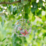 VIMEDA | Colorful Butterfly Light™