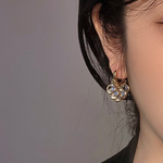 VIMEDA | Transparent Crystal Earrings™ (1+1 GRATIS)