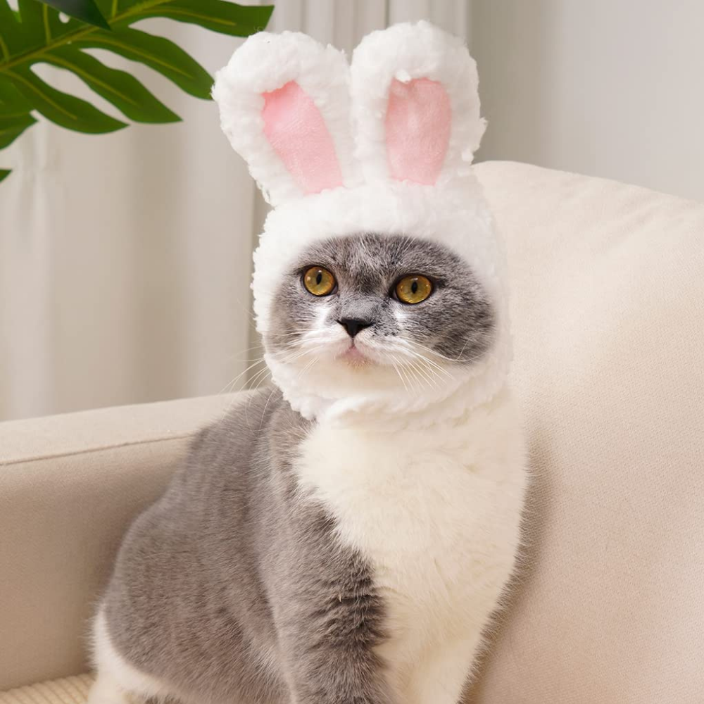 VIMEDA | Pet Bunny Hat™ (1+1 GRATIS))