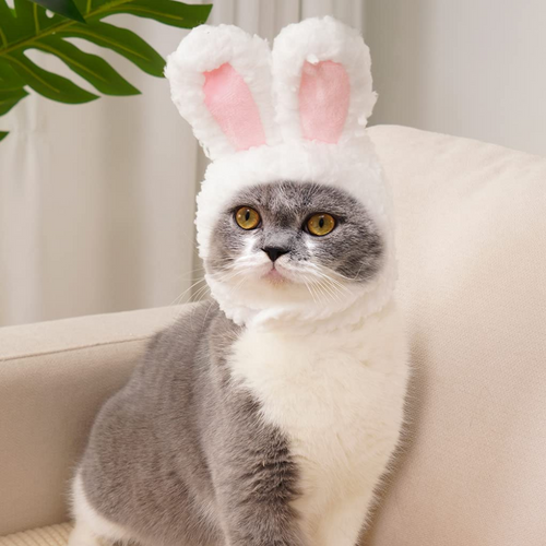 VIMEDA | Pet Bunny Hat™ (1+1 GRATIS))