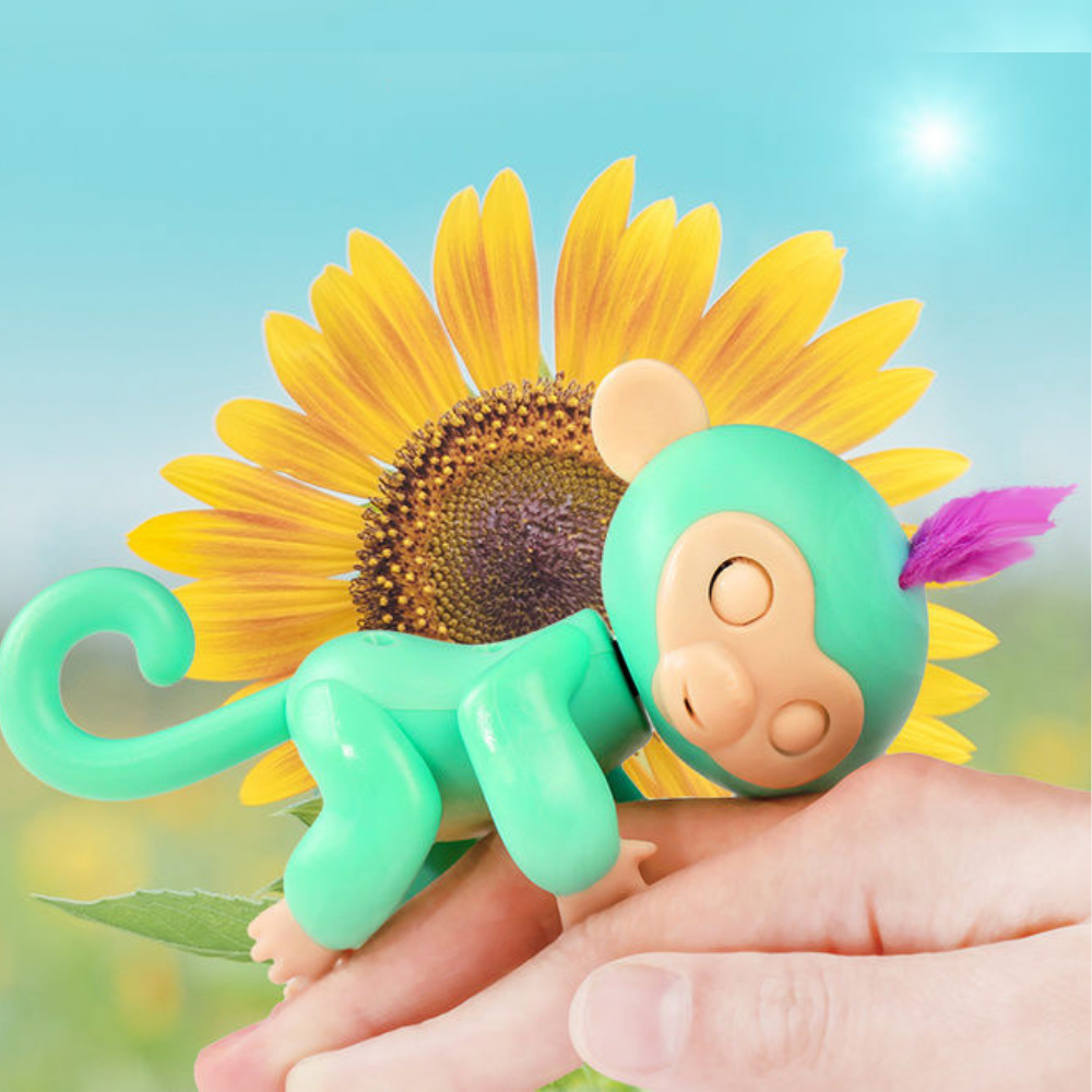 VIMEDA | Toto Monkey™