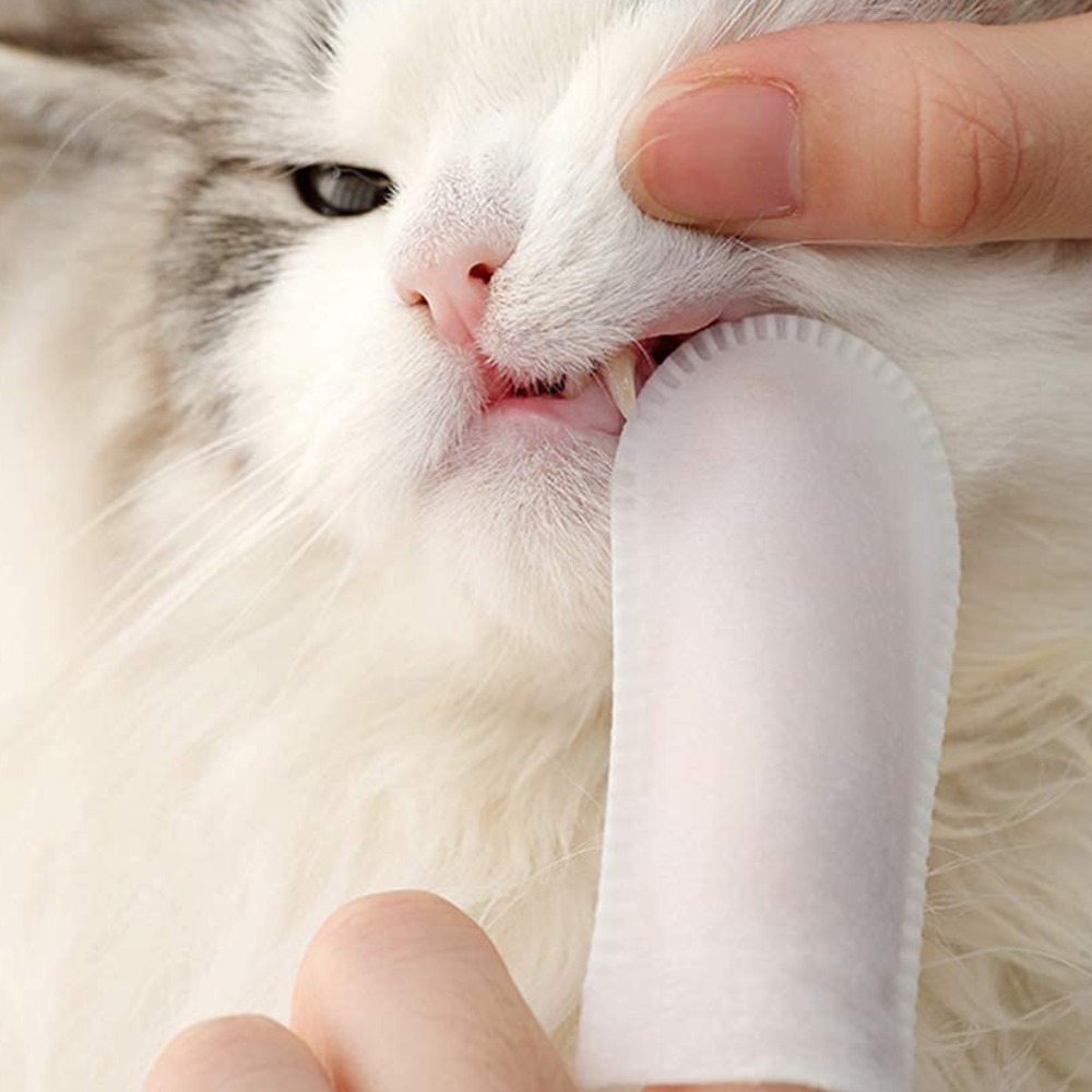 VIMEDA | Pet Dental Wipes™