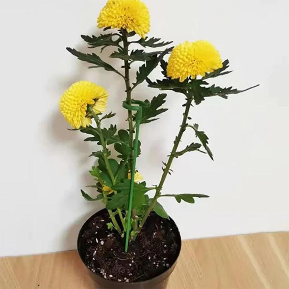 VIMEDA |  Plant Support Stakes™ (10+10 GRATIS)