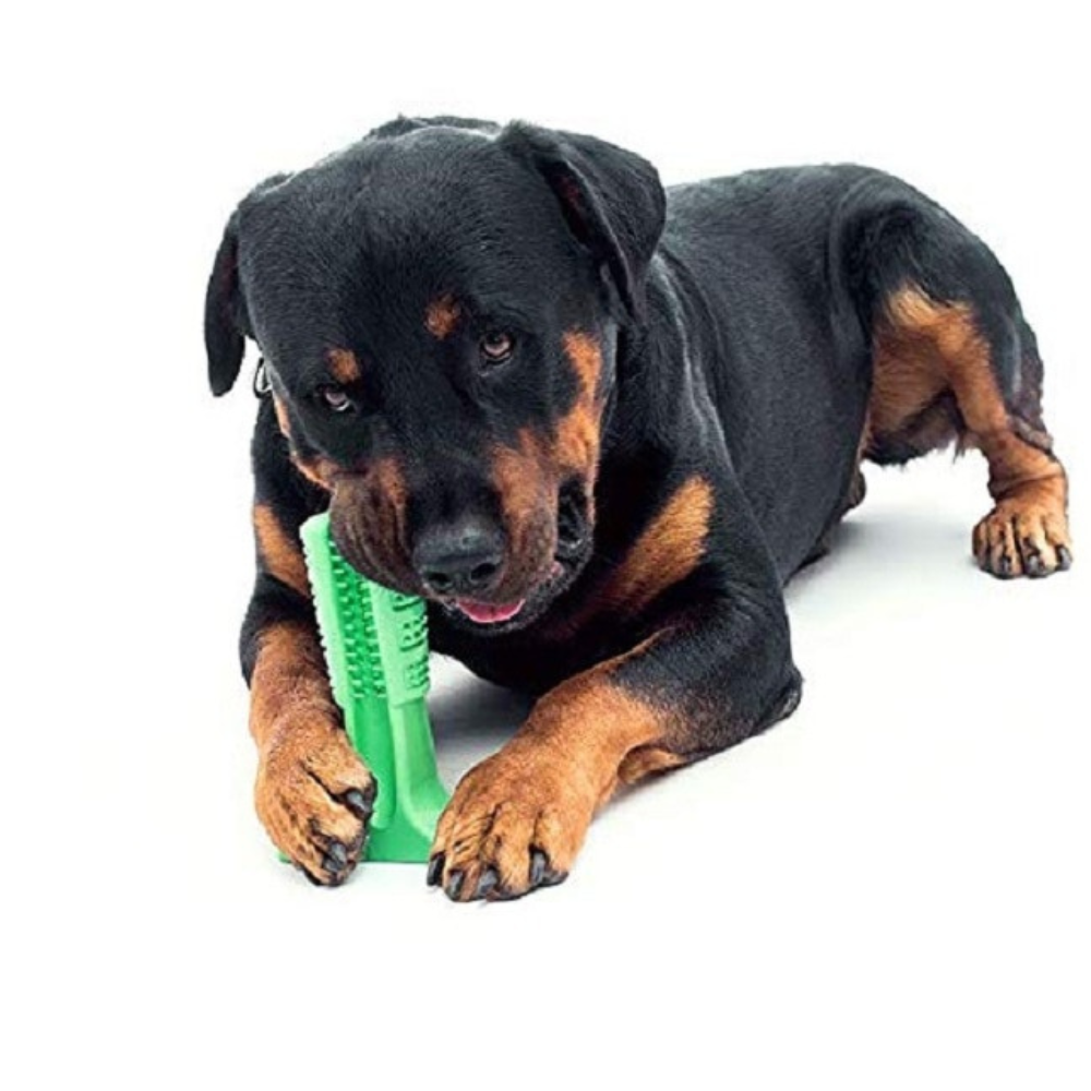 VIMEDA | Puppy Dental Brush™
