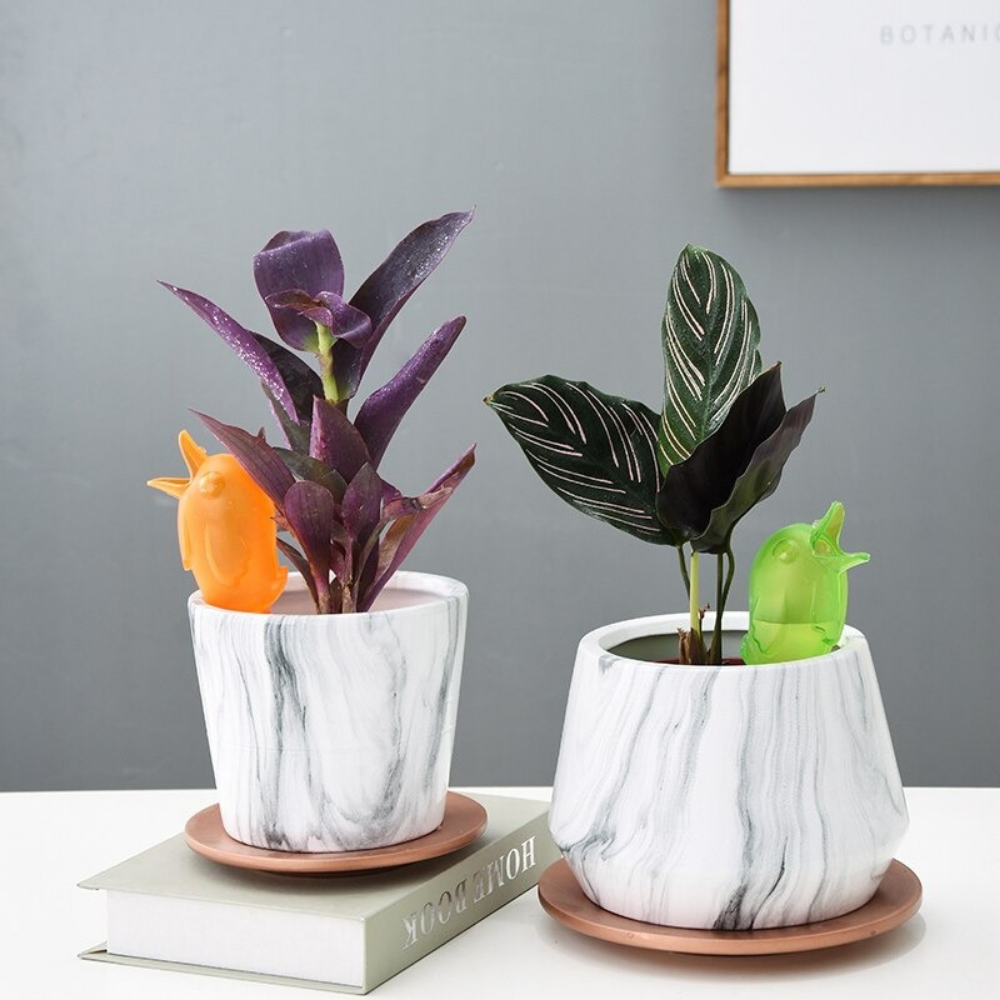 VIMEDA | Self Watering Spikes™ (1+1 GRATIS)
