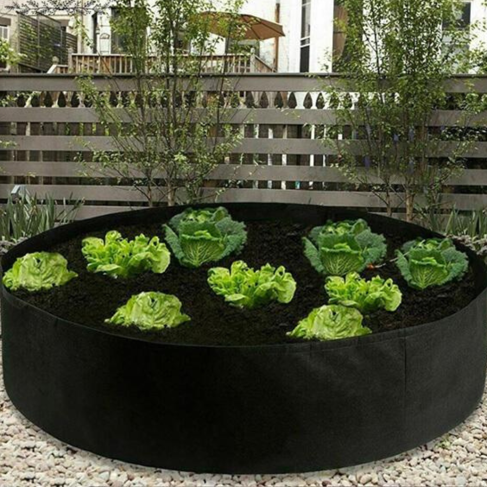 VIMEDA | Plant Bed™