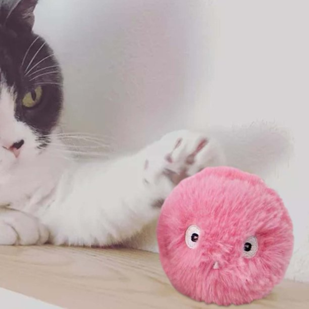VIMEDA | Plush Cat Balls™ (1+1 GRATIS)