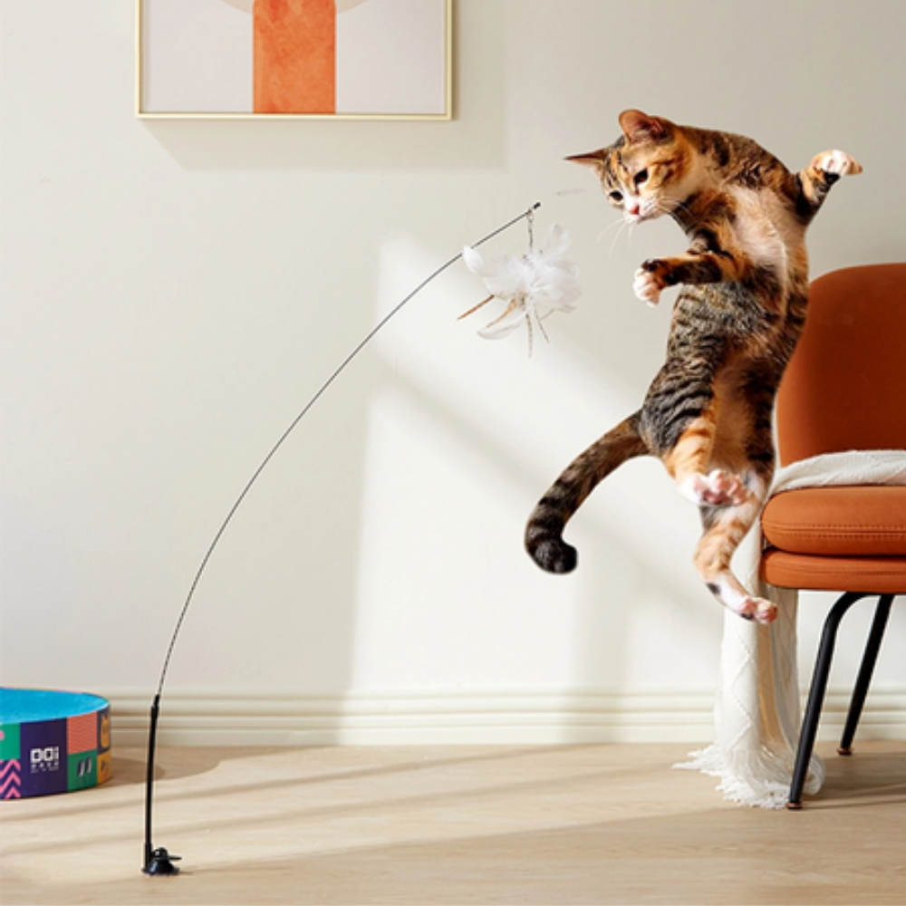 VIMEDA | Cat Teaser Toy™