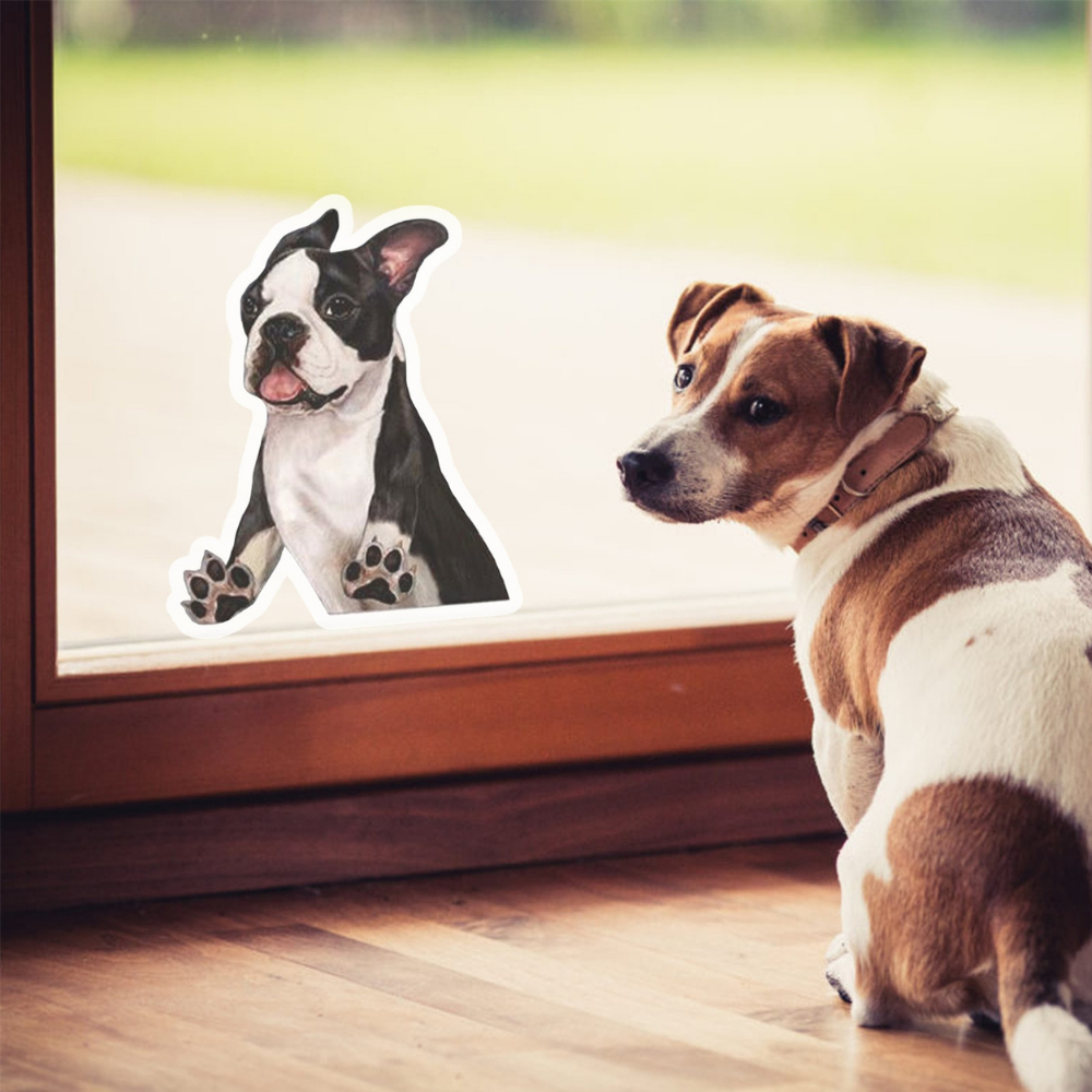 VIMEDA | Dog Car Sticker™ (2+2 GRATIS)