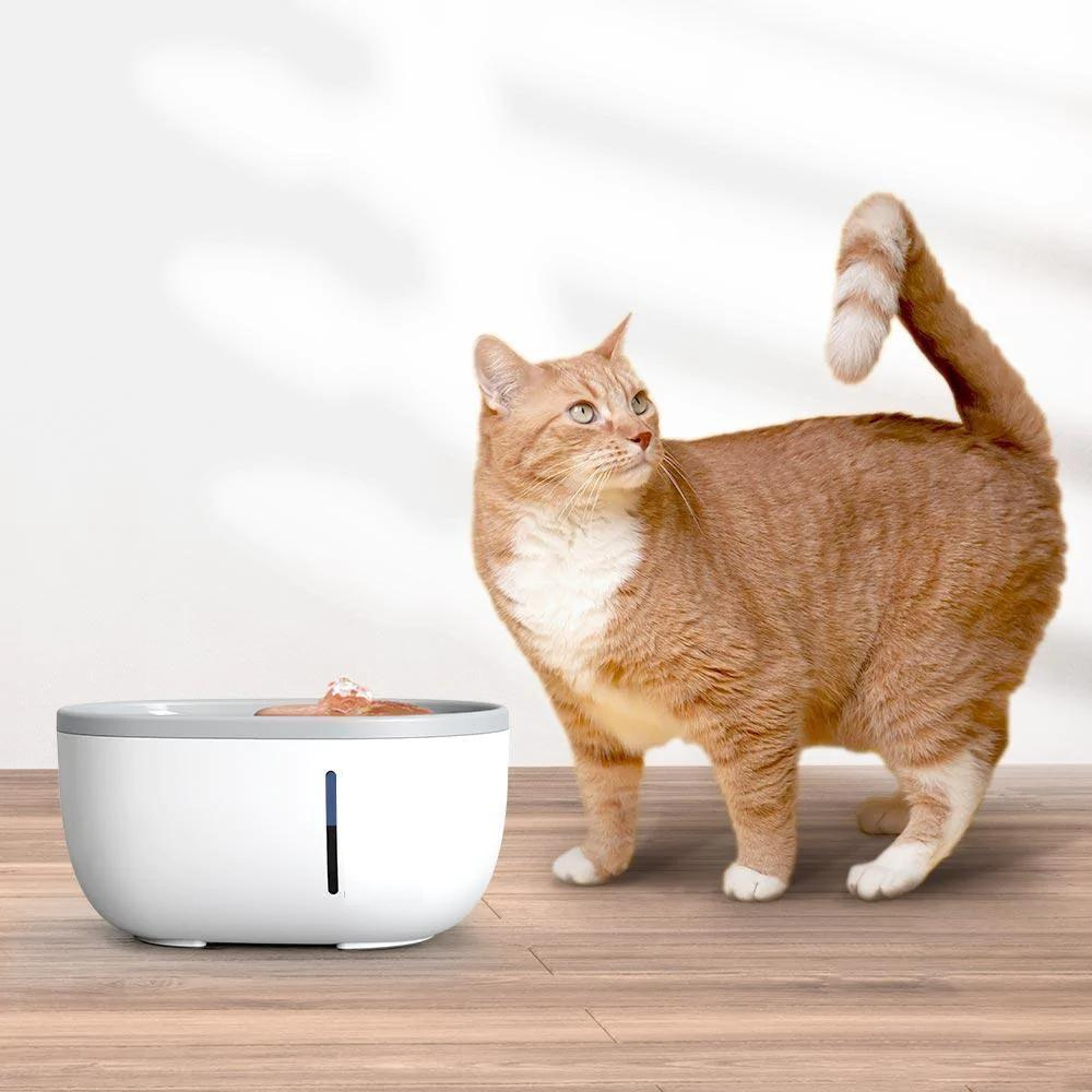 VIMEDA | Avocado Pet Fountain™