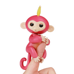 VIMEDA | Toto Monkey™
