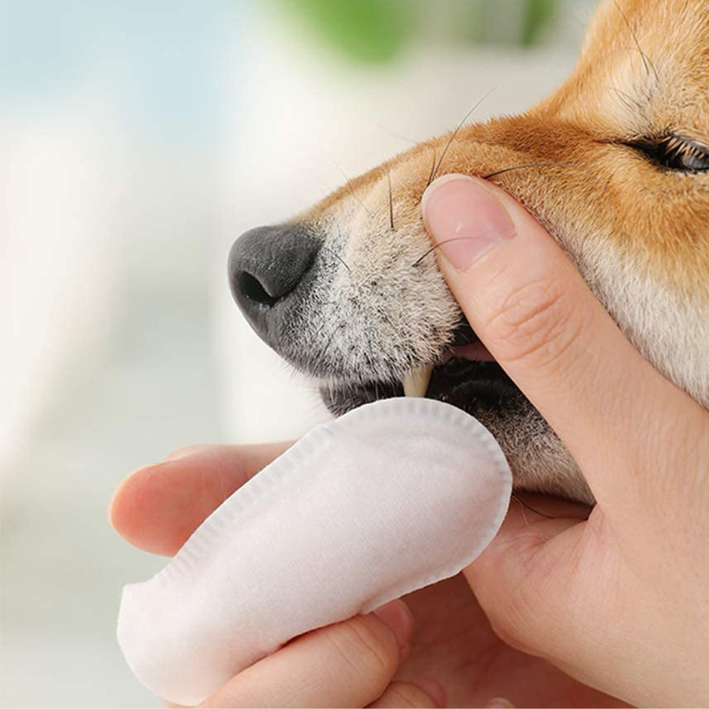VIMEDA | Pet Dental Wipes™