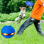 VIMEDA | Frisbee Pet Toy™